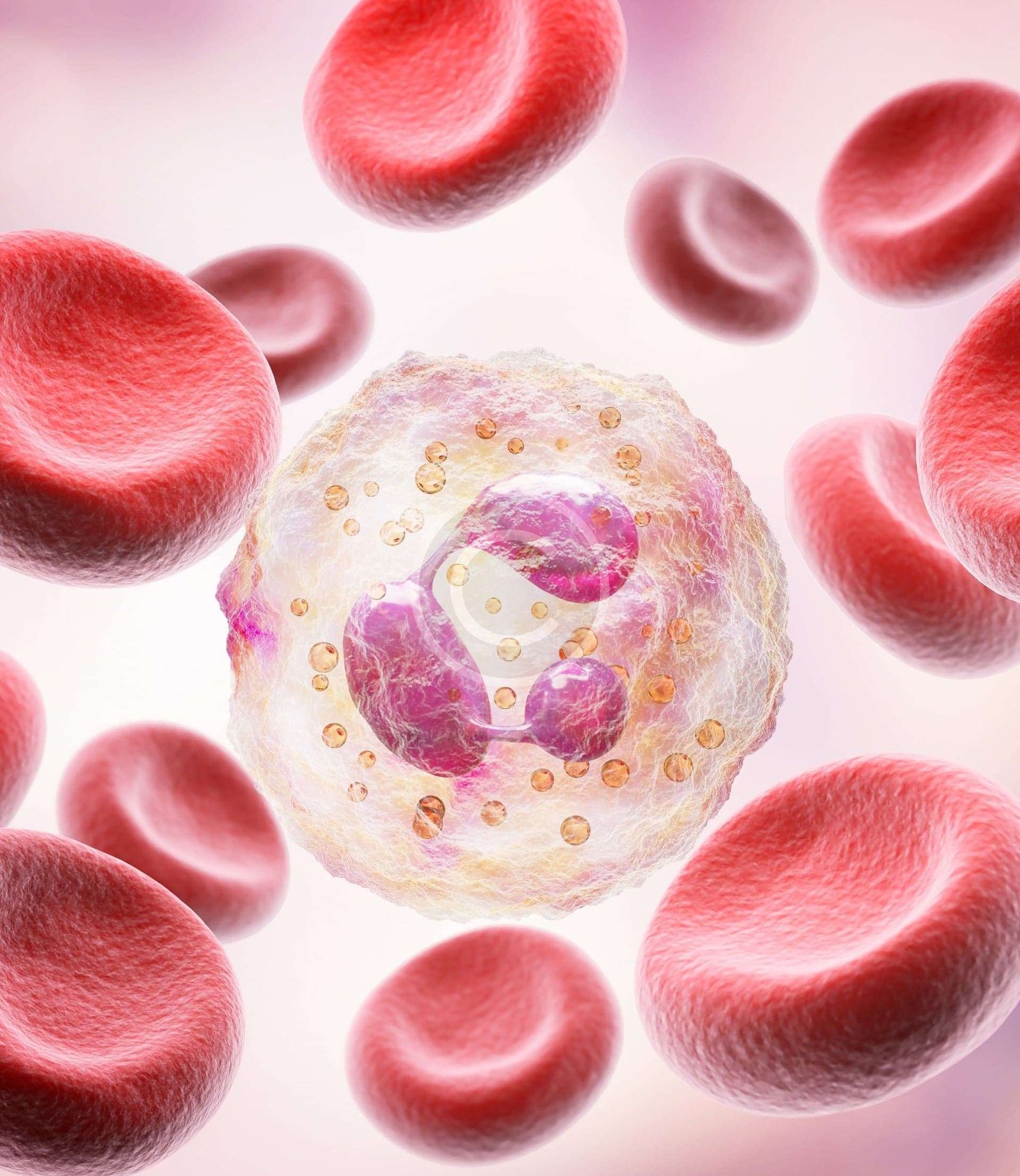 Peu de visibilité avant progression avancée